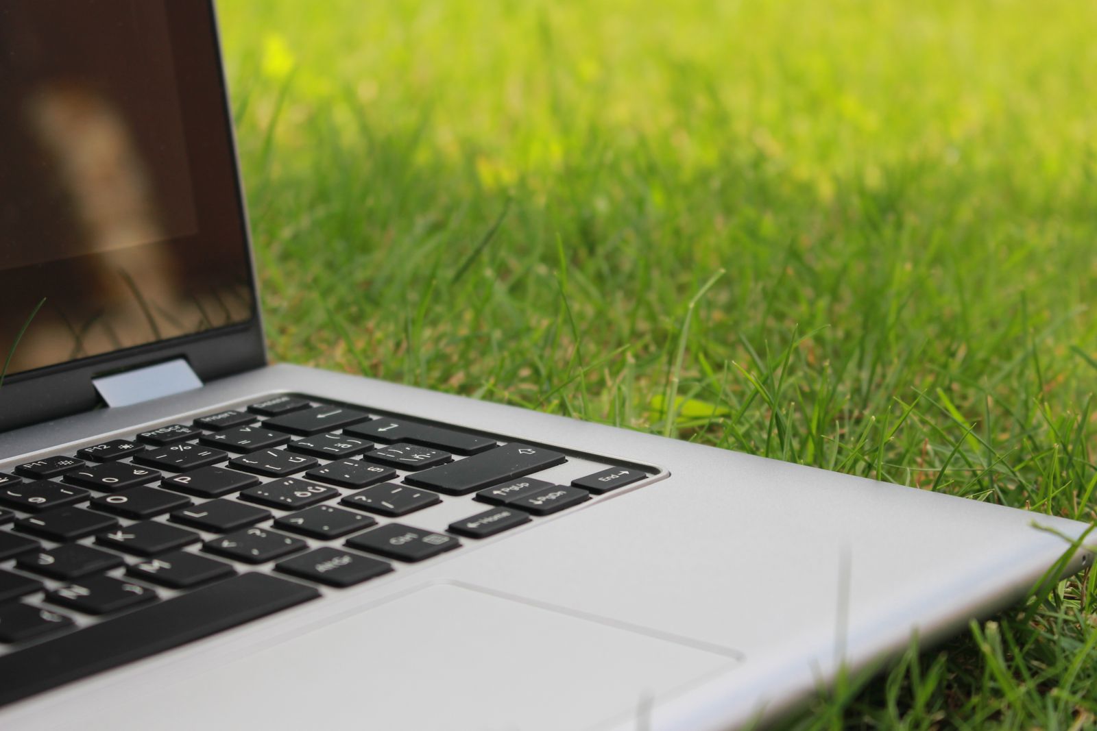 Lawn Care Website Design That Wins the Whole Season