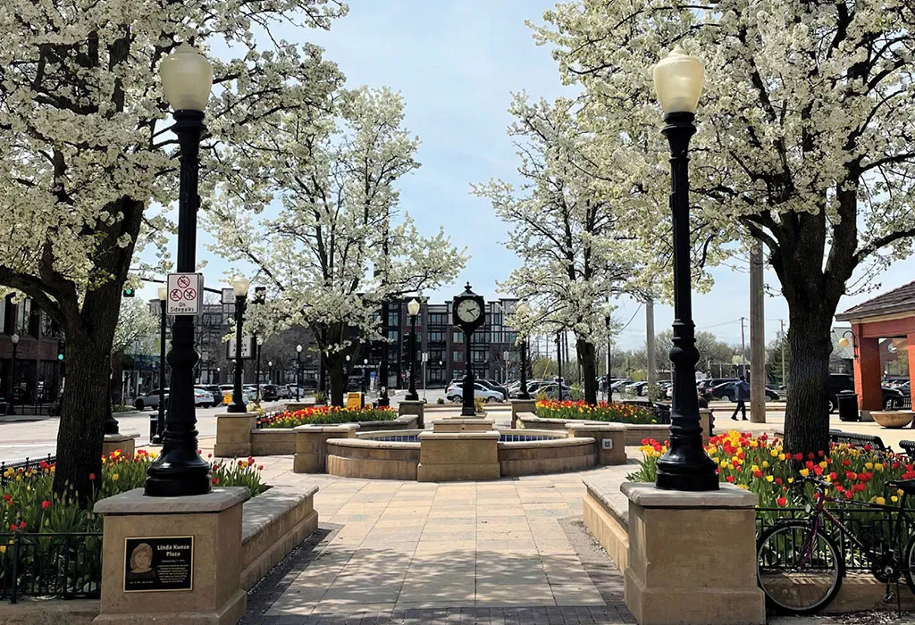 Downers Grove, IL