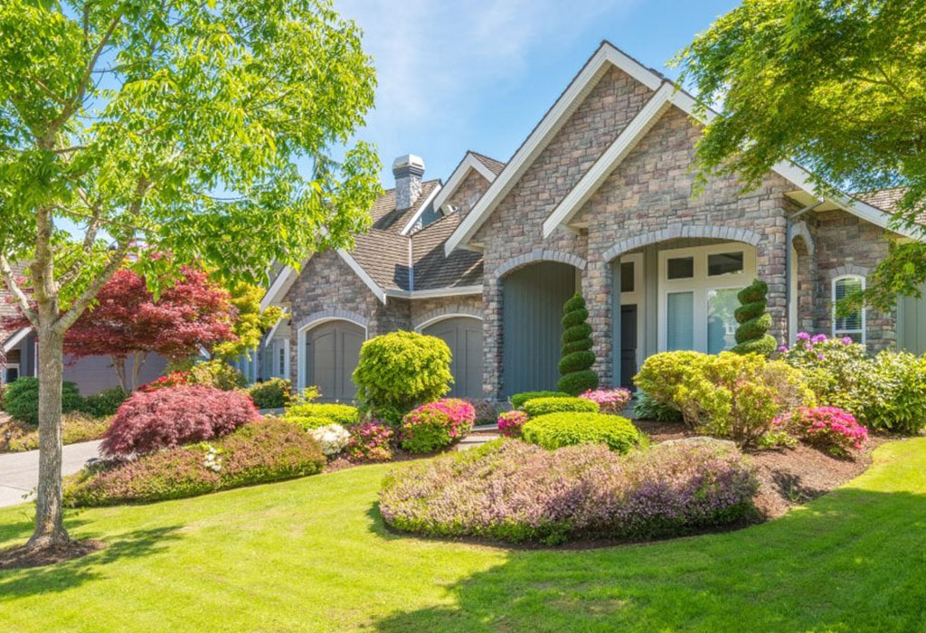 Lawn care website design