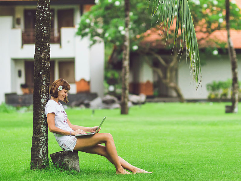 Lawn care website on mobile