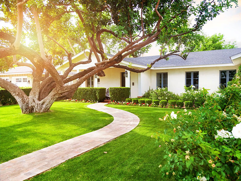 Lawn care business owner